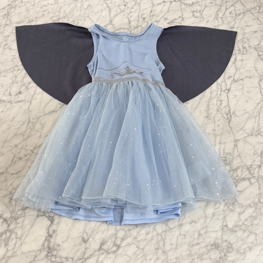 Disney Frozen Light Blue and Navy Tulle Dress